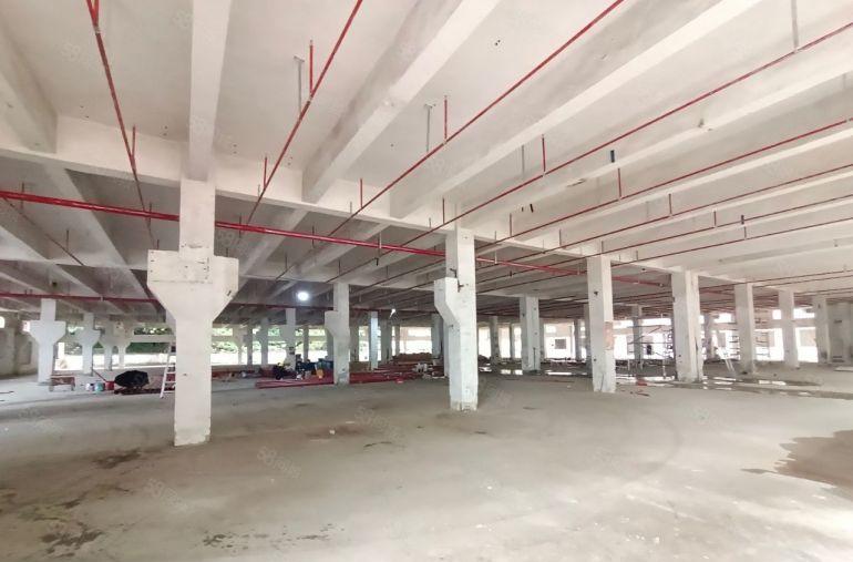 光明红星独院厂房出租8000平方 超大空地 大小可分租