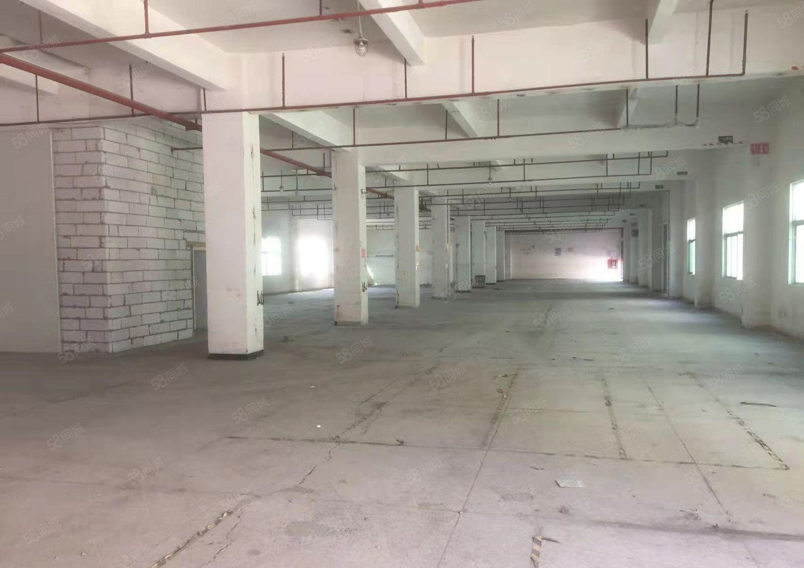 公明楼村500~10000平厂房，仓库出租，食宿配套齐全