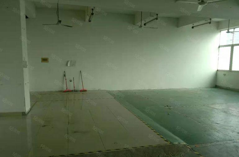 公明楼村经典小厂房招租350平，价格便宜，交通方便，格局方正