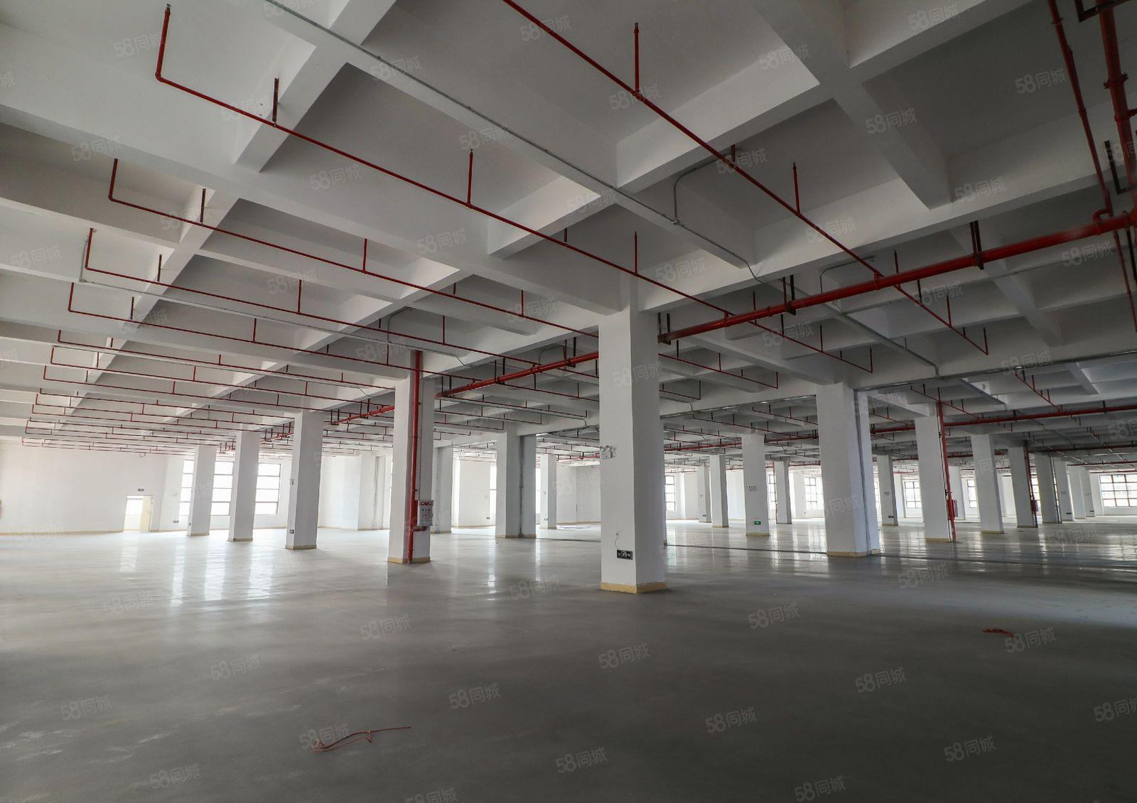 光明搬黄江,黄江整层7750平米厂房业主出租,形象佳可办环评