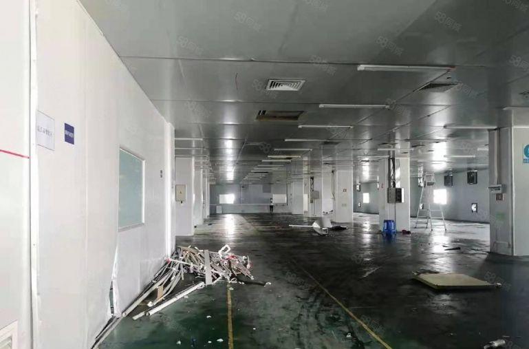 光明公明上村独院厂房300平至500平5000平厂房仓库出租