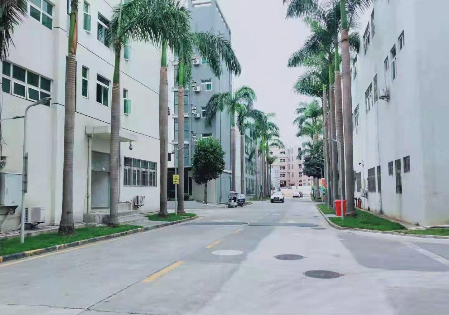 光明区楼村新出新出厂房楼上1200平方现有前台办公室装长方形