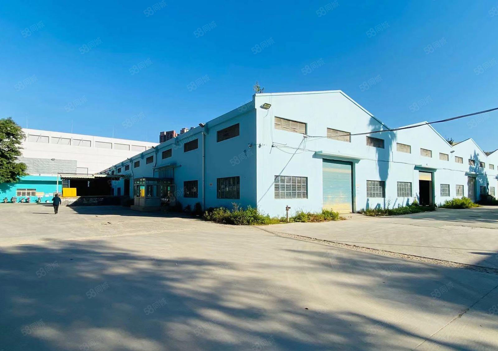 光明龙大高速出口12米高钢构独院厂房出租6300平米原房东