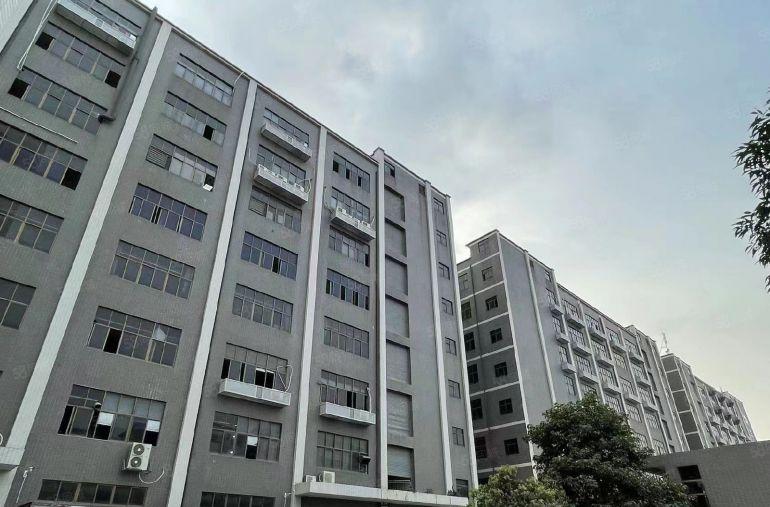 （公明楼村原房东厂房）1.56万平单层2600，分1300平