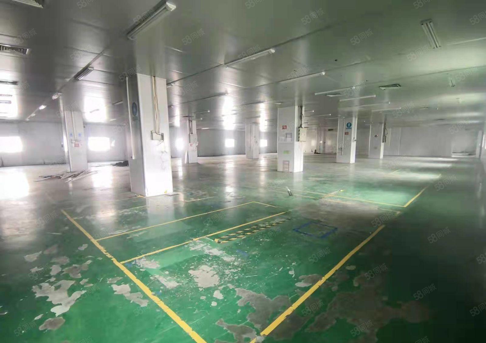 光明公明独院厂房8000平（大马路边上，315独立变压器）