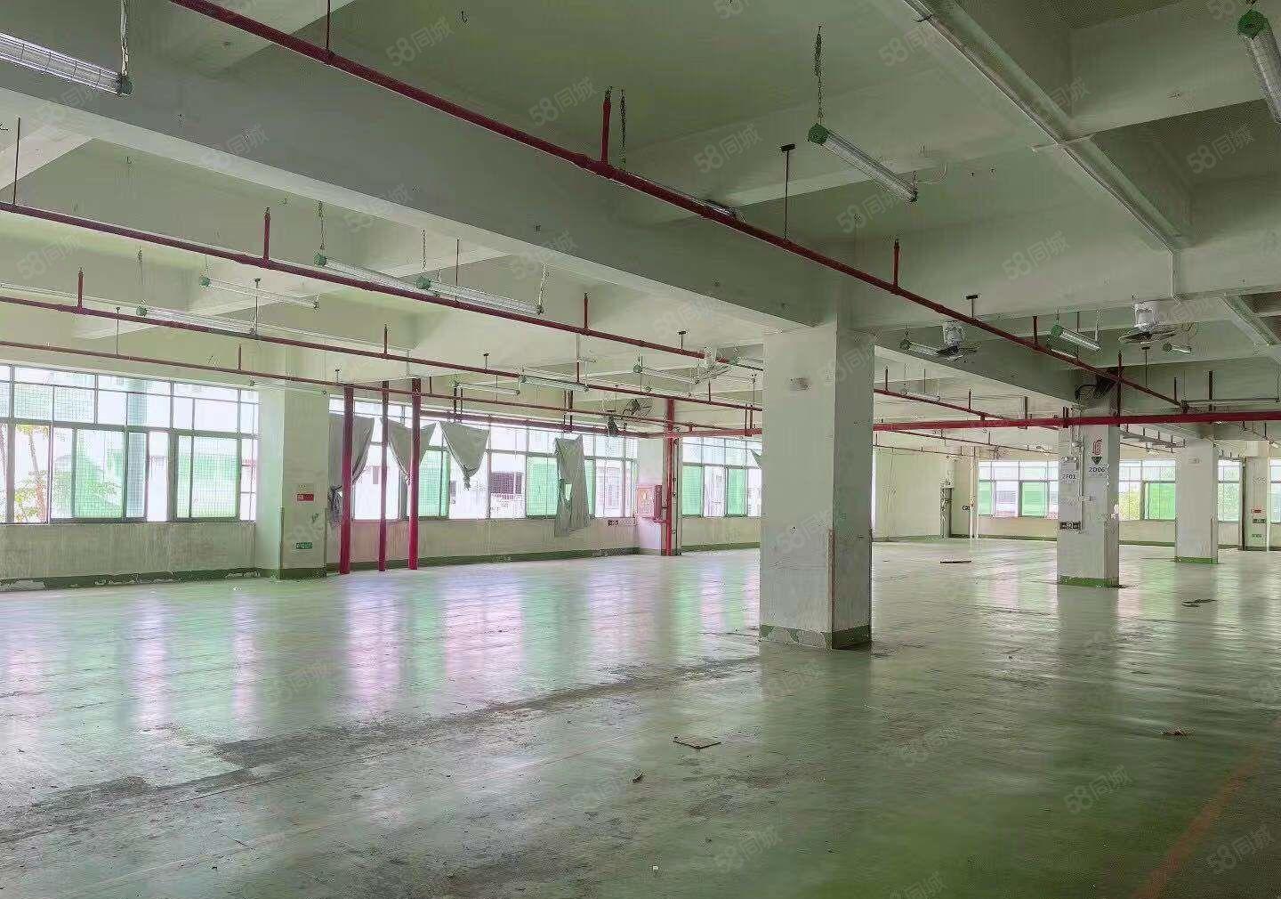 光明原房东9100平厂房，仓库，5吨货梯，卸货平台，中介无扰