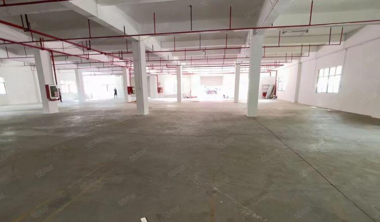 光明宝新科技园附近2000平 可分租重工业厂房 仓库低价出租