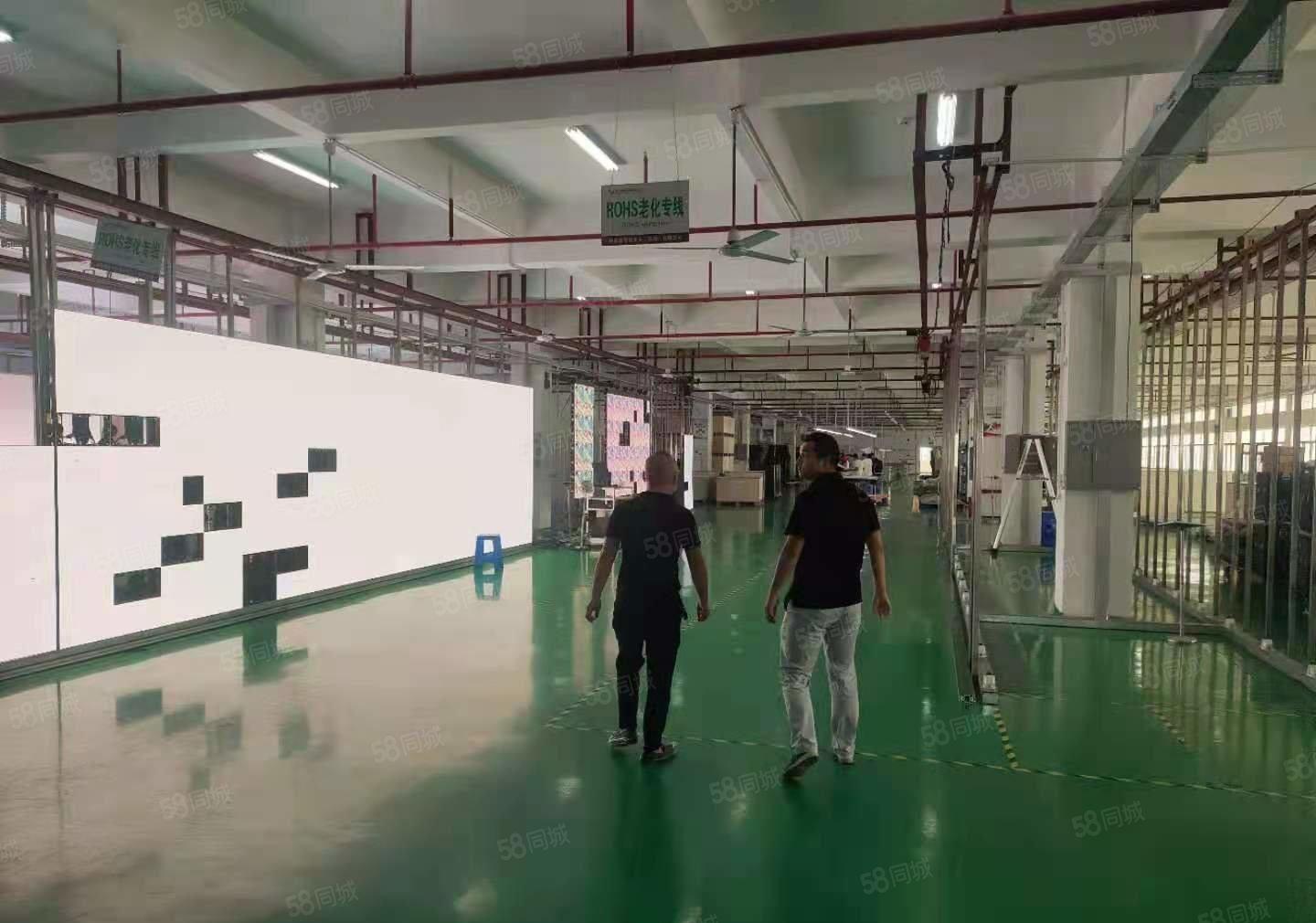 东坑新出原房东独门独院带精装修标准厂房2000平