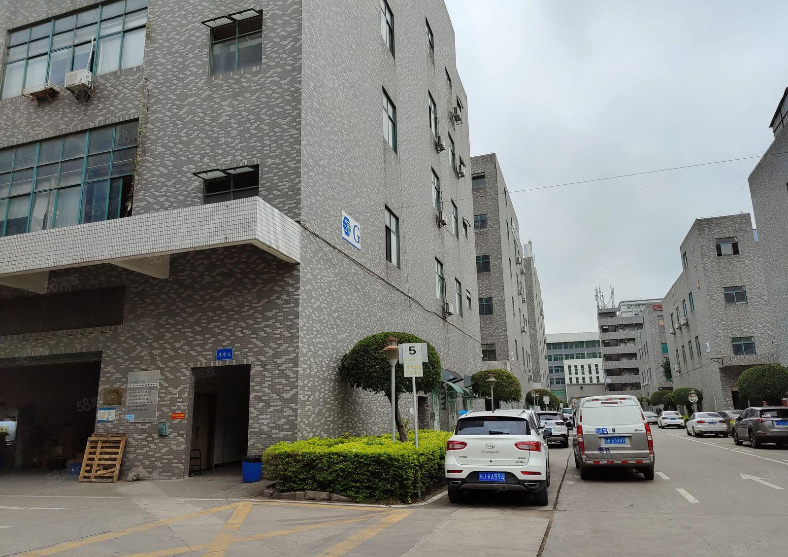 光明公明楼村600平米小型厂房出租公常路边上方便大车进出精装