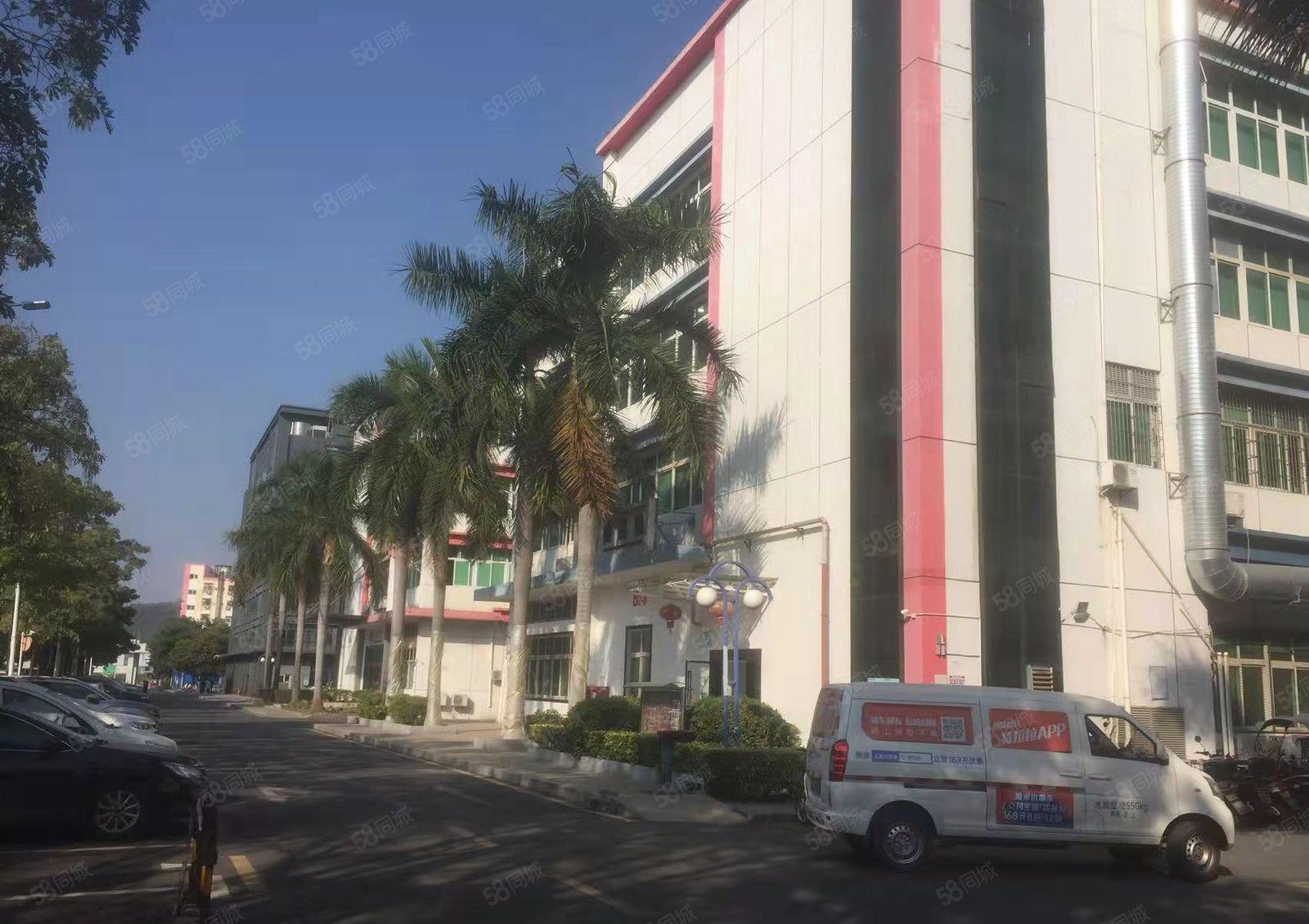 光明公明独院厂房8000平（大马路边上，315独立变压器）