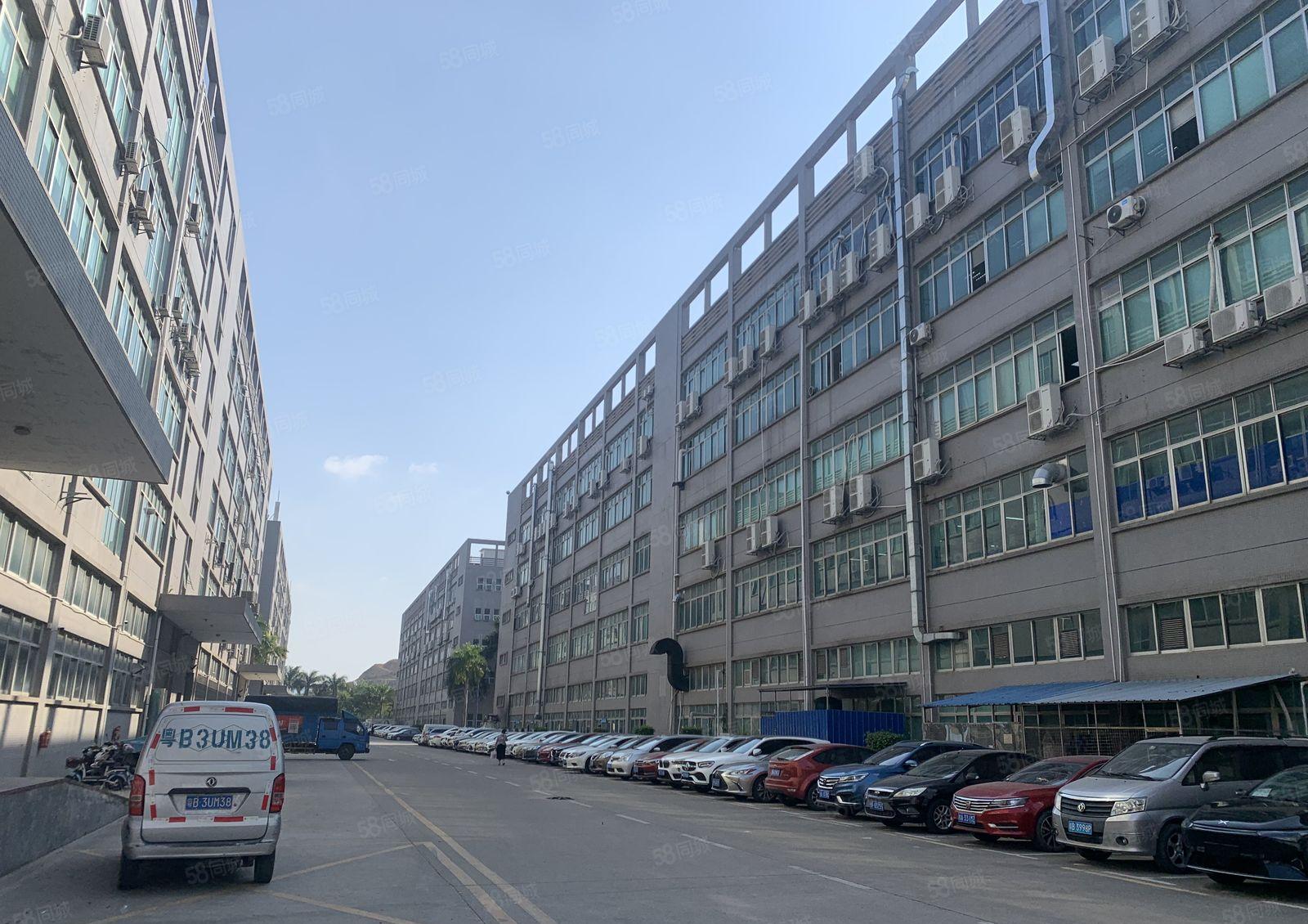 公明红本大型园区二楼1800平 价格含税 带前台办公室精装修