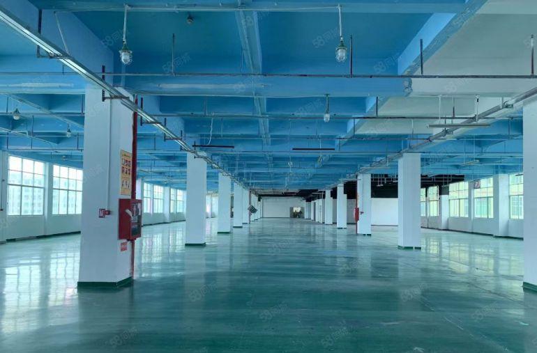 公明上村重工业厂房3600平带消防喷淋可分400平园区已电改