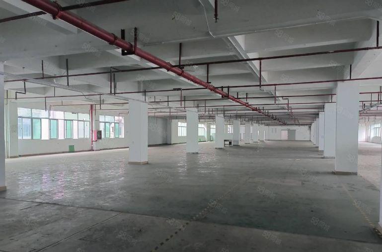 光明新出500平至5000平一二楼厂房仓库出租大小面积分租