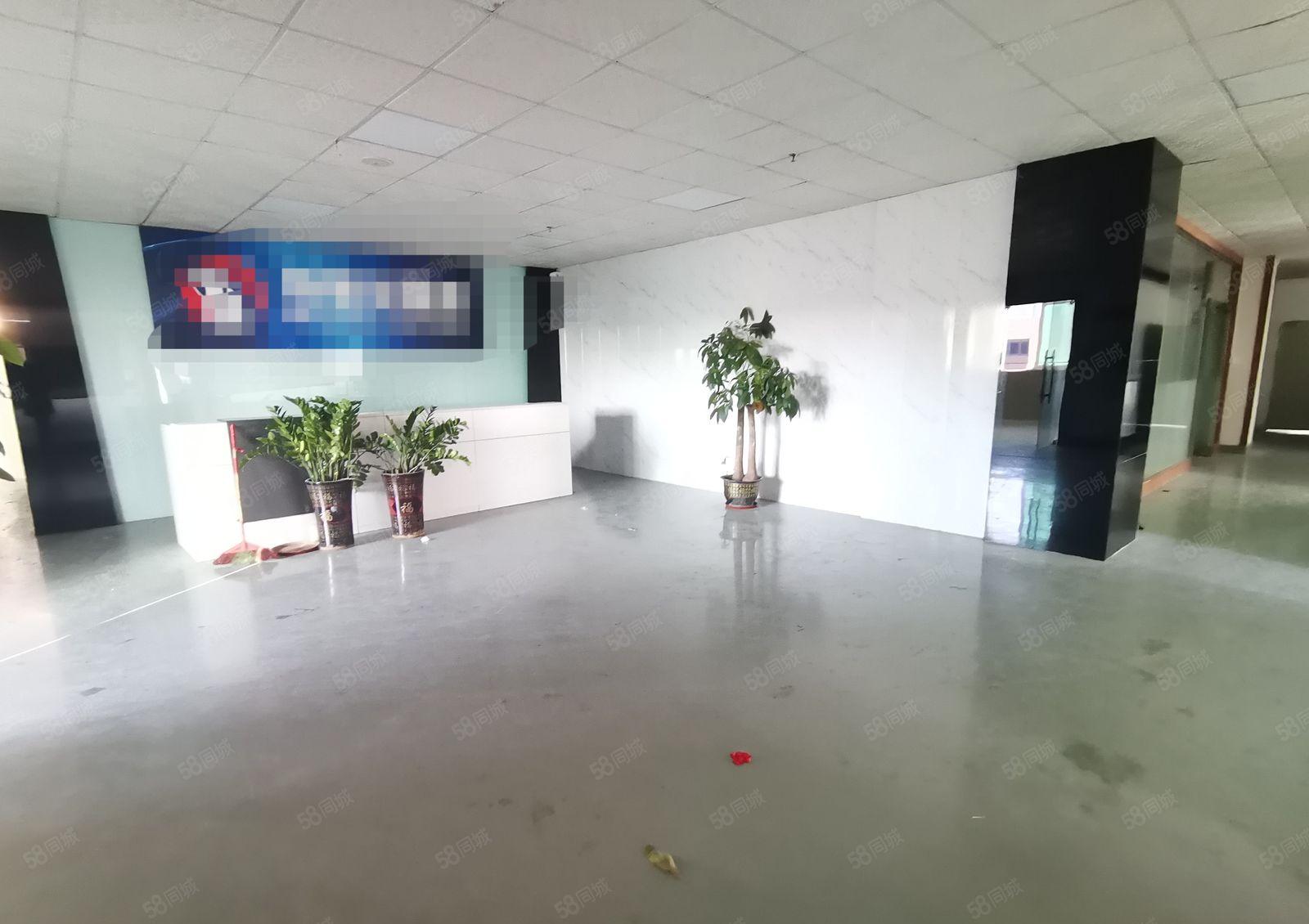 光明工业园区精装修2000平厂房出租200平分租电商