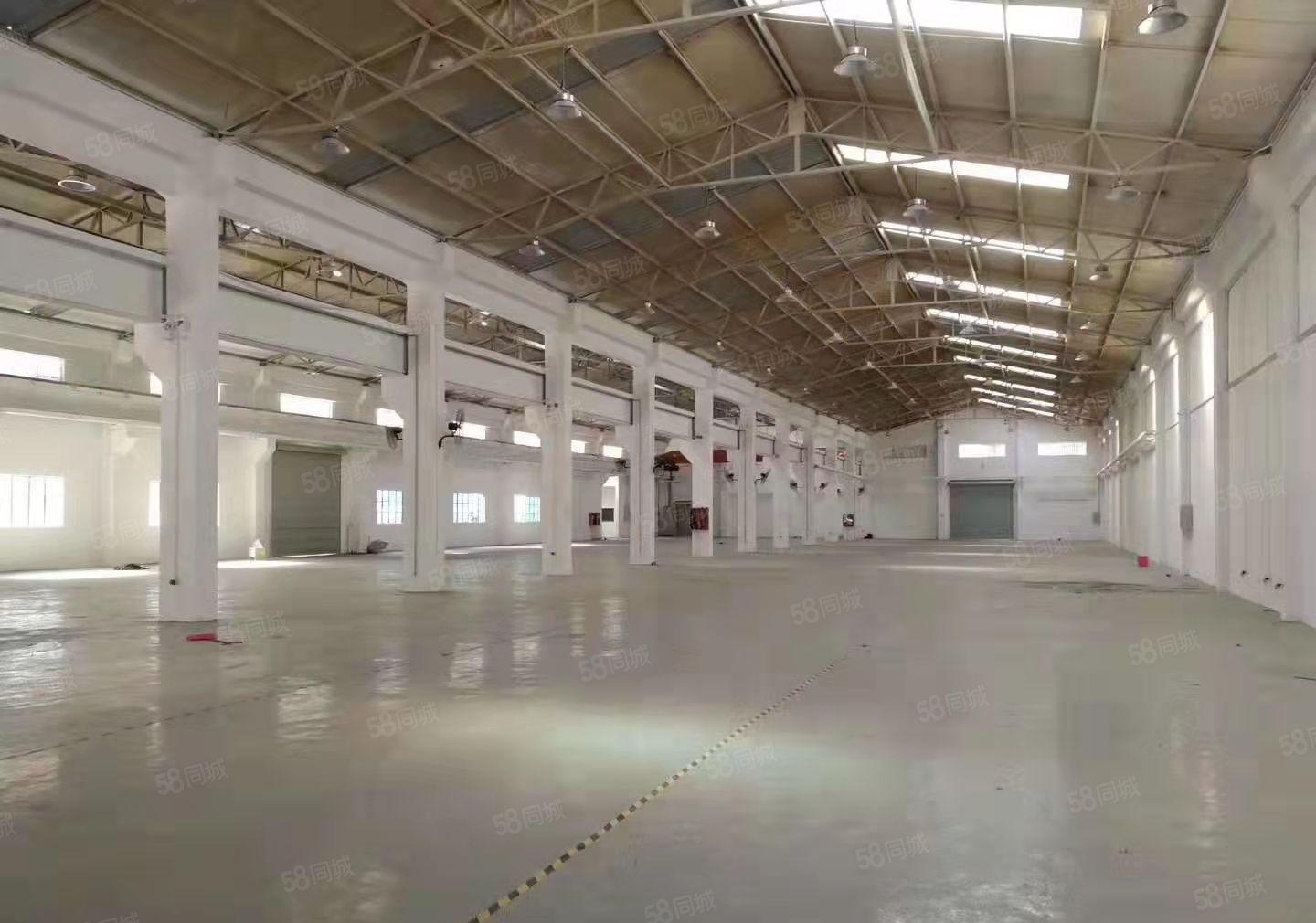 光明龙大高速出口12米高钢构独院厂房出租6300平米原房东