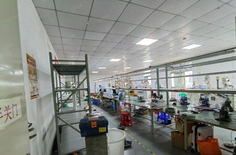 光明红星独院厂房出租5000平坐南朝北，可分栋租