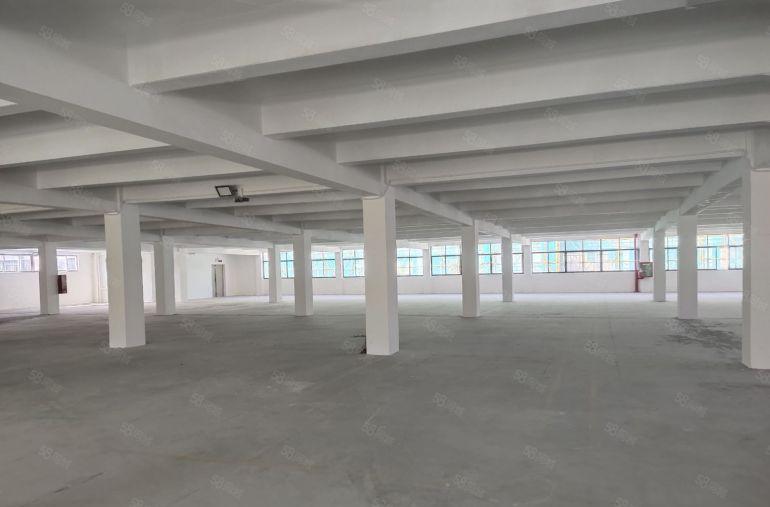 光明地铁口原房东红本厂房5000平方出租大小可分租高速口附近