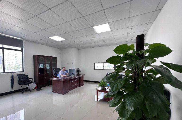 光明将石大型园区1400平精装厂房，无转让费，近龙大高速口