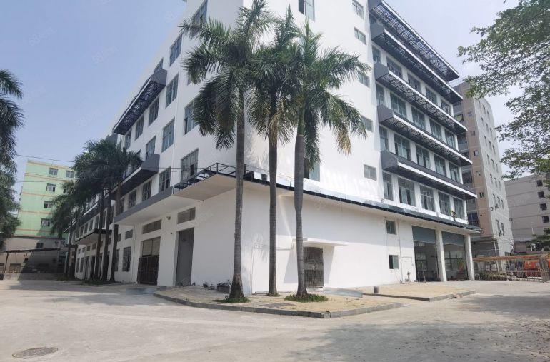 低价！光明村委独栋厂房出租独门独院空地大