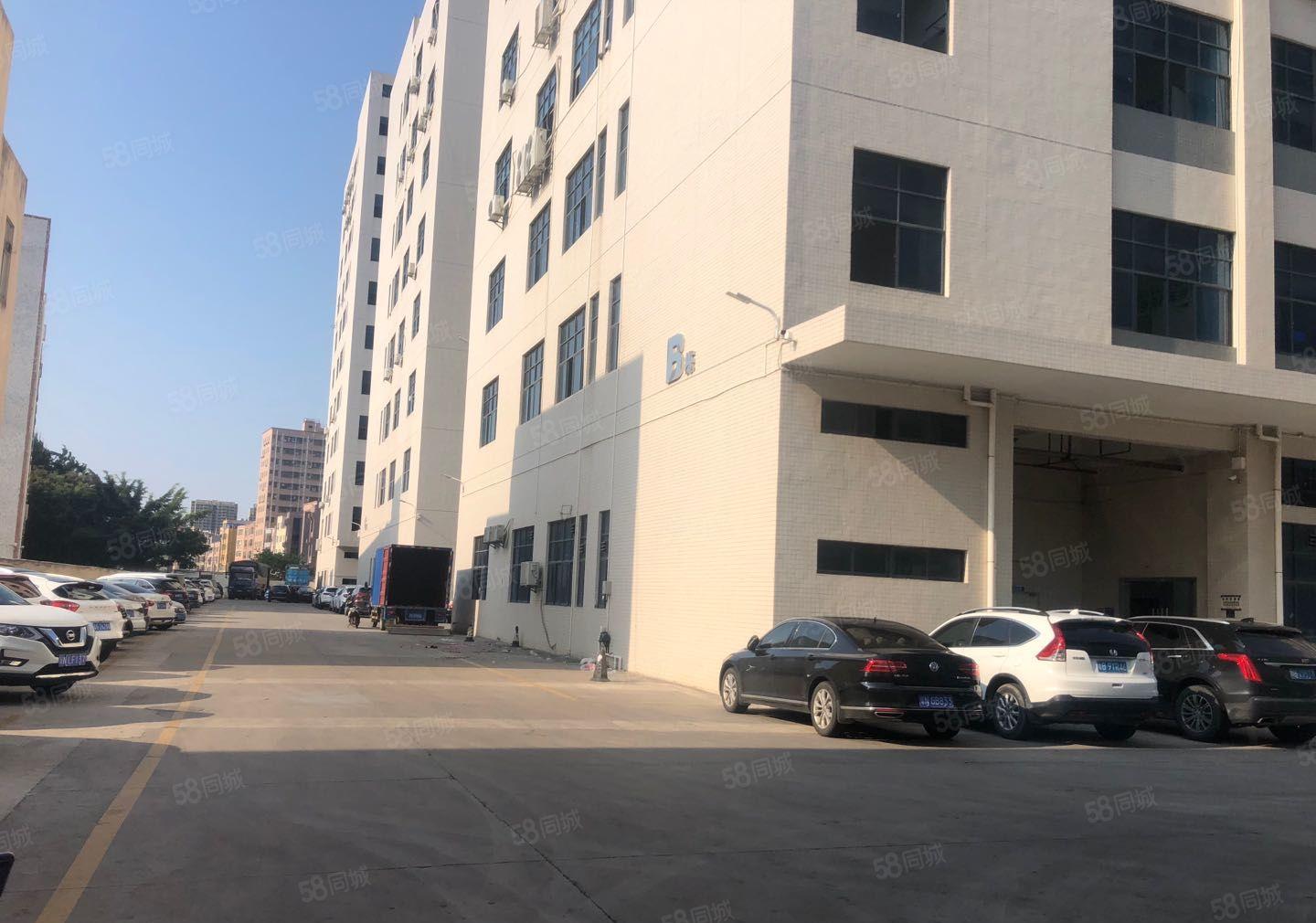 光明新围村高薪大型园区4楼5楼各2440平精装修带无尘车间