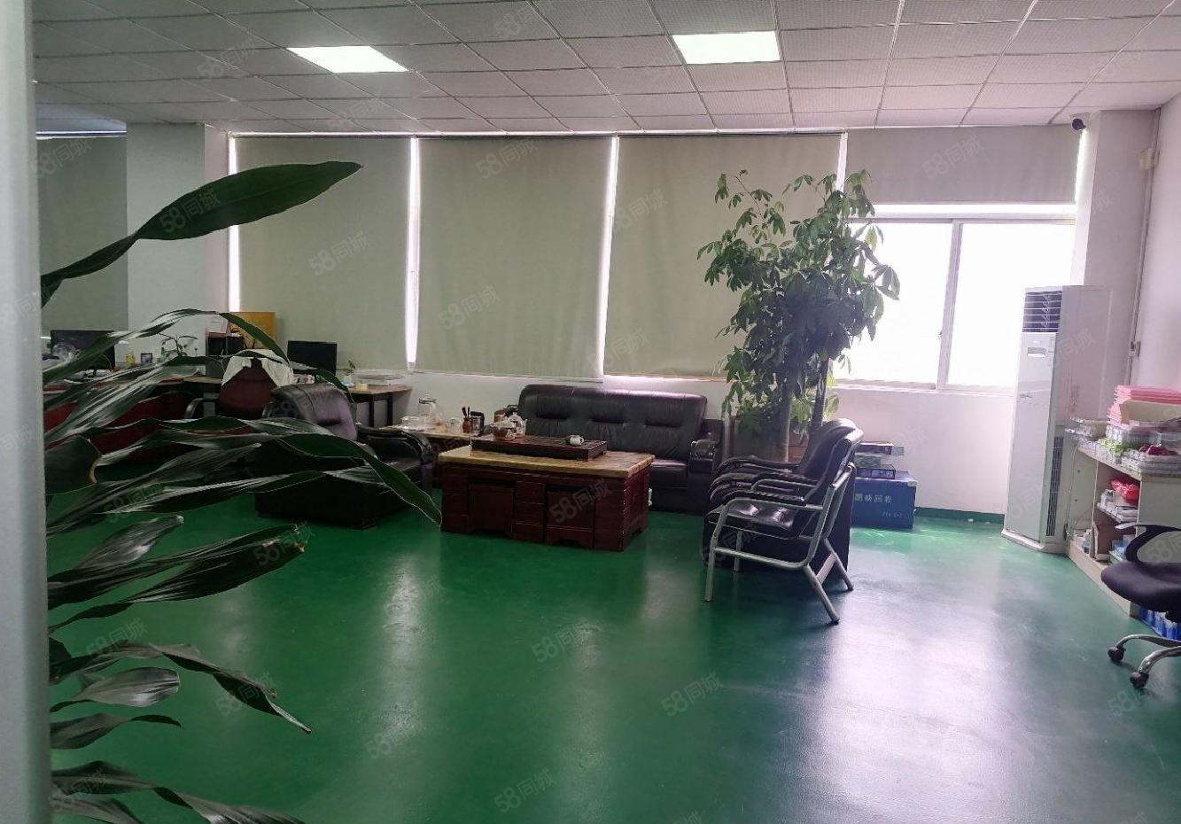 东坑新出原房东独门独院带精装修标准厂房2000平