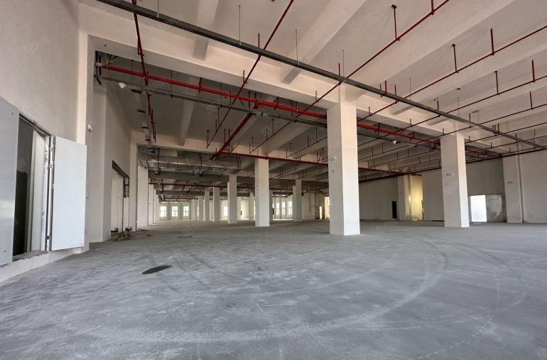 光明高新工业园区全新重工业厂房88000平方出租500起分租