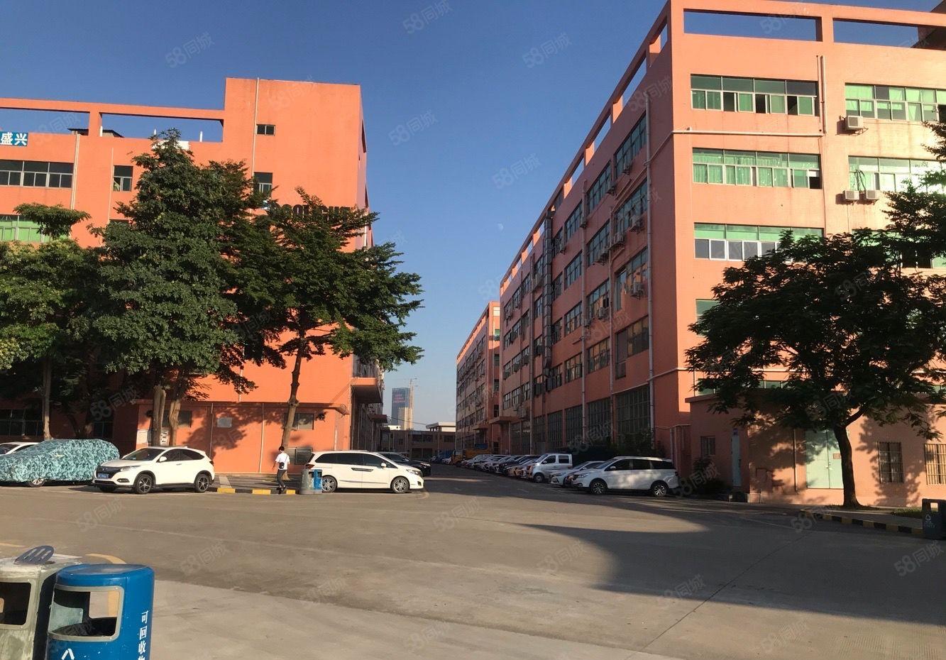 光明村委厂房独院18000平厂房仓库出租无公摊 合同长