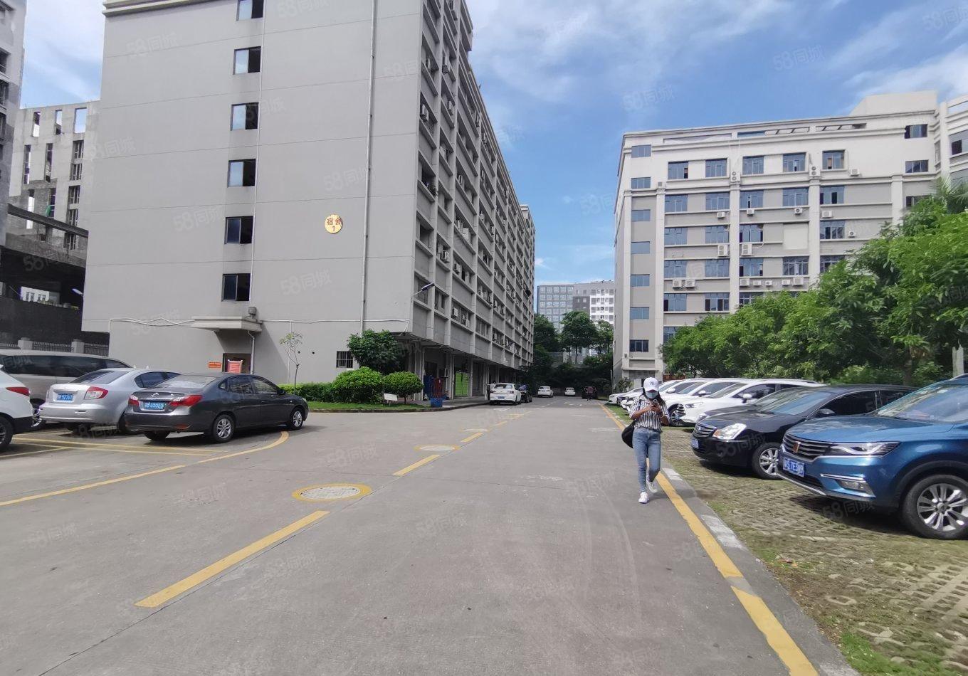 公明新出原房东一楼1788平精装修水电齐全随时入住可分租