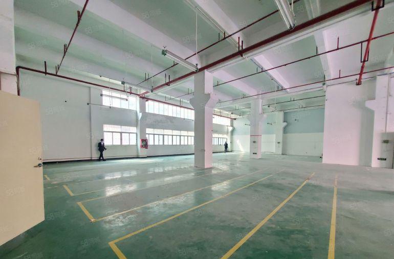 光明厂房出租高新科技园6000平独栋精装修可办补贴红本大小分