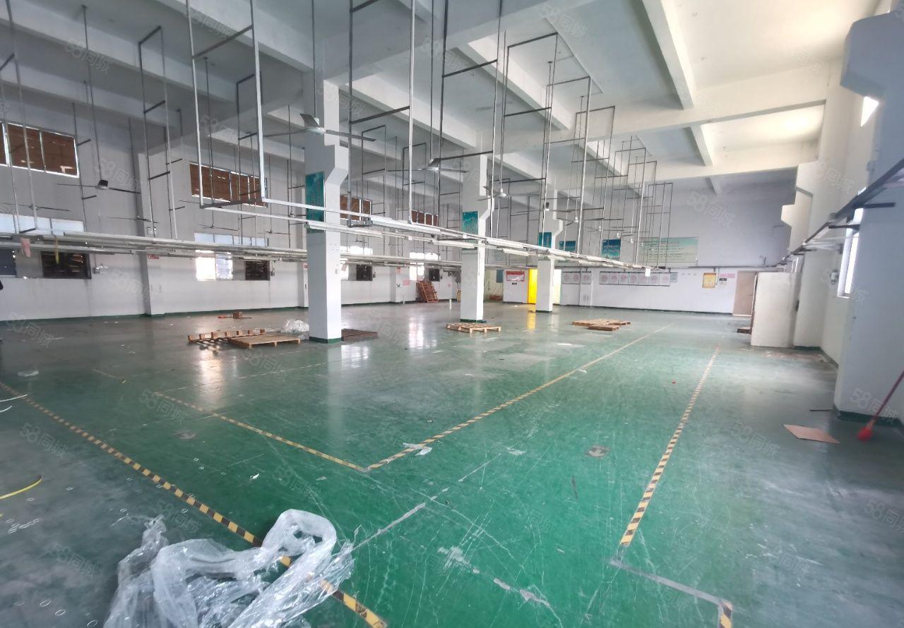 （实际面积出租）马山头楼上1000平，带牛角，现成吊机口