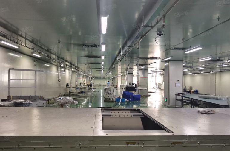 公明田寮大型园区楼上厂房出租1900平，精装带办公室无尘车间