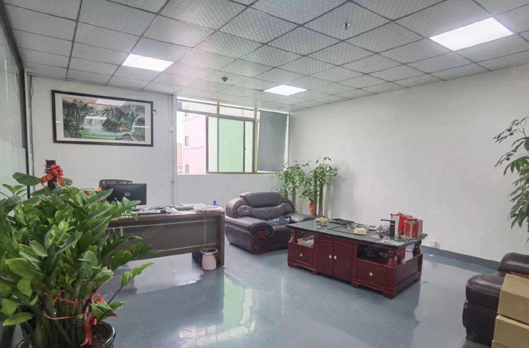 公明楼村精装厂房出租600平现成前台，办公室，洁净车间等