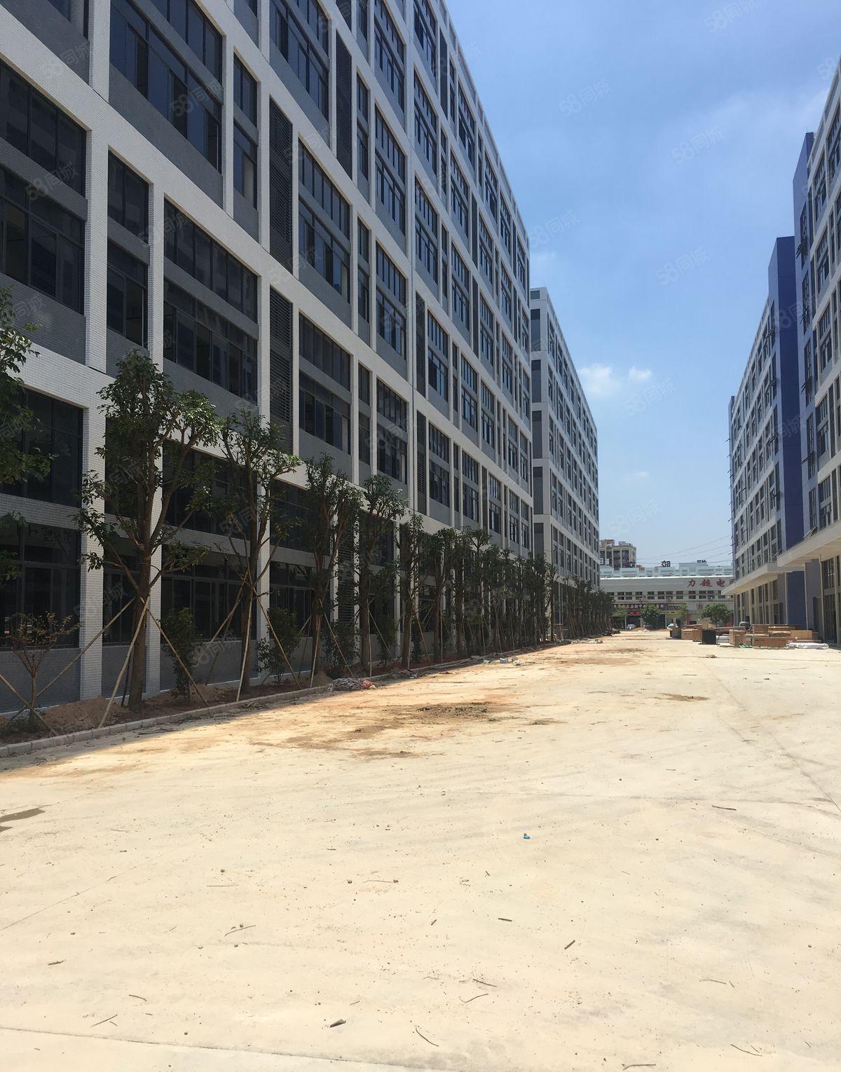 原房东红本厂房实际面积出租单层面积约9000整栋5万平米出租