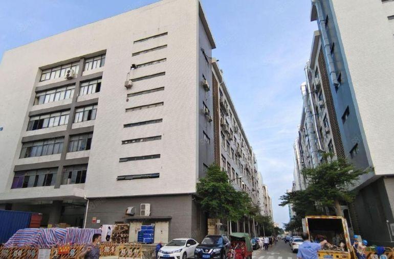 光明长兴原房东厂房出租5000平可分租1000平500平