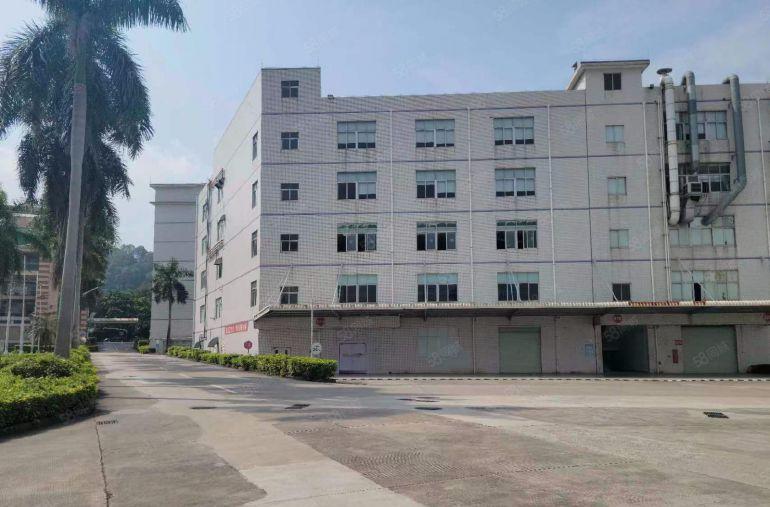 光明公明特建发直租（4000~5万平无公摊，大小可分）交通好