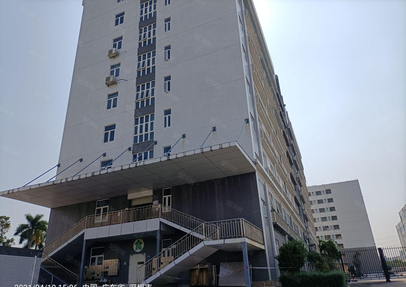 500平起分租光明地铁口原房东红本办公研发厂房6000独栋出