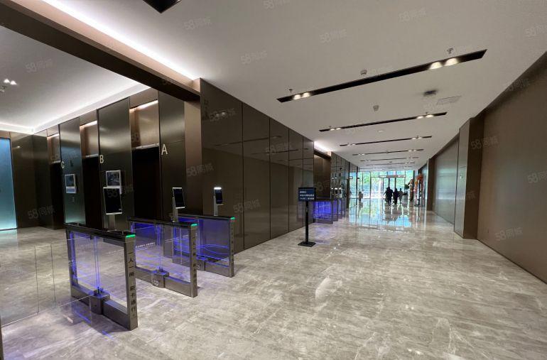 光明中心甲级写字楼现成直播总部390平 带景观阳台