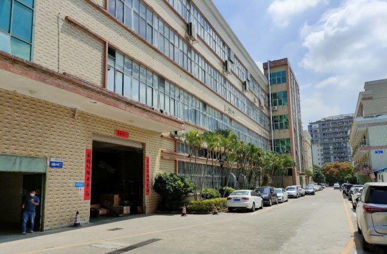 公明标准层2000平厂房出租 可分租工业园低价一楼仓库出租