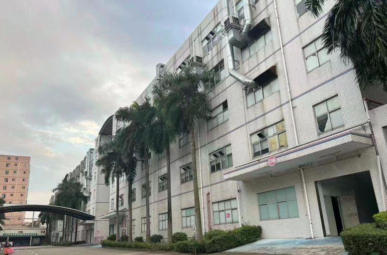 光明公明特建发直租（4000~5万平无公摊，大小可分）交通好