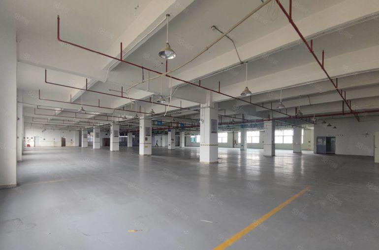 光明楼上整层重工业厂房出租2800平！可分租，空地大进出方便