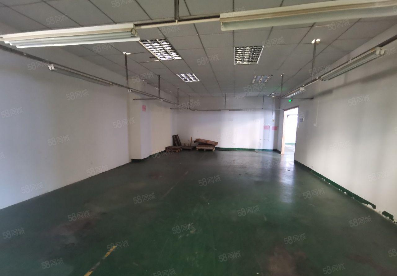 （实际面积出租）马山头楼上1000平，带牛角，现成吊机口