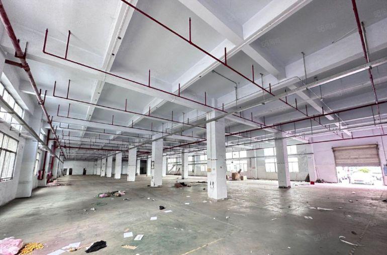 公明李松蓢原房东厂房一楼2500平，高6米，近高速口可进大车