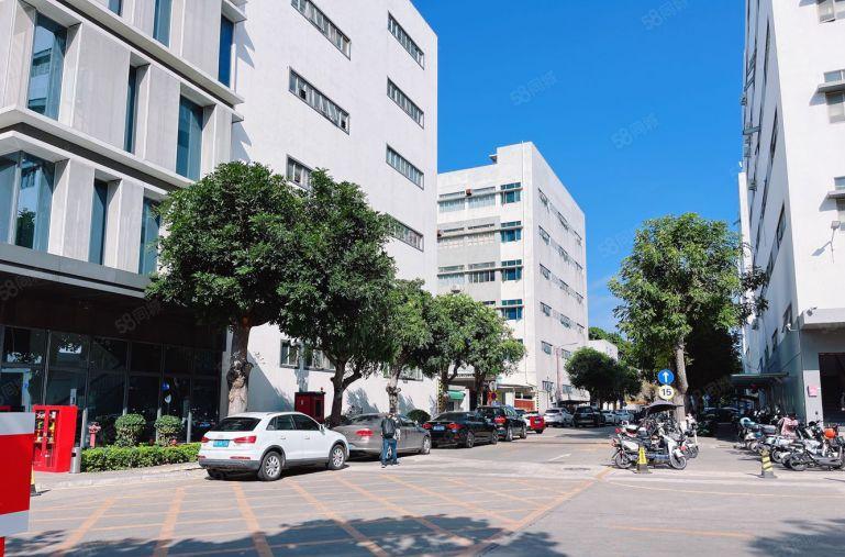 光明公明将石精装修楼上800平无公摊可分租200平已电改