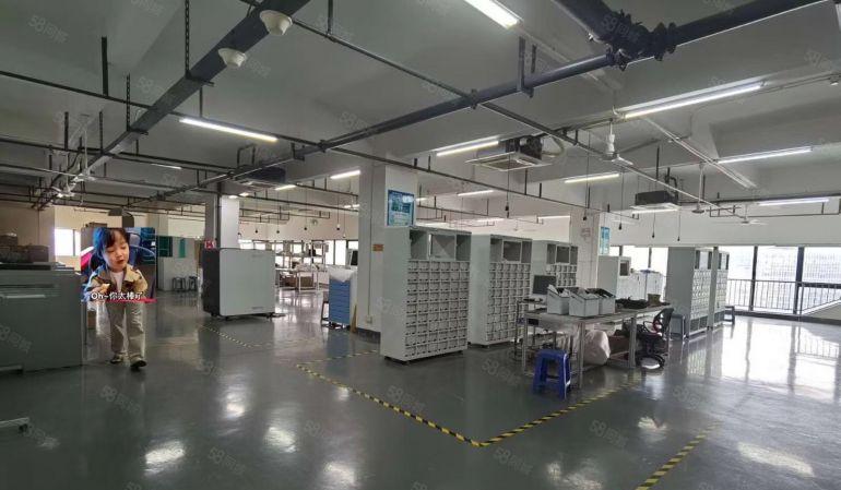 公明玉律新出原房东独门独院15000平方厂房出租