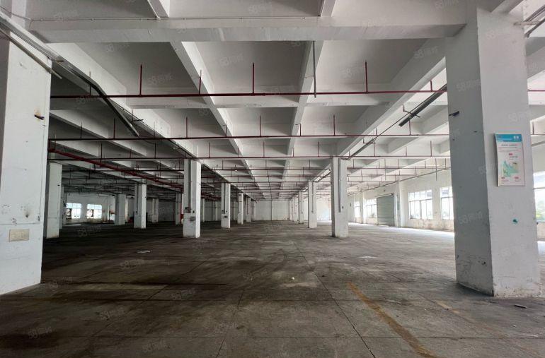 光明花园式红本独门独院厂房25000平方出租1000平起分租