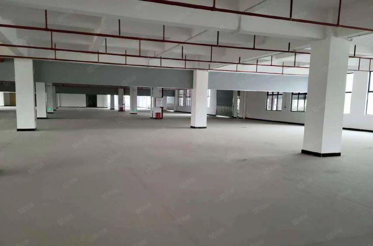 13元租全新红本厂房，仓库1000~4300平可做纸箱，电池