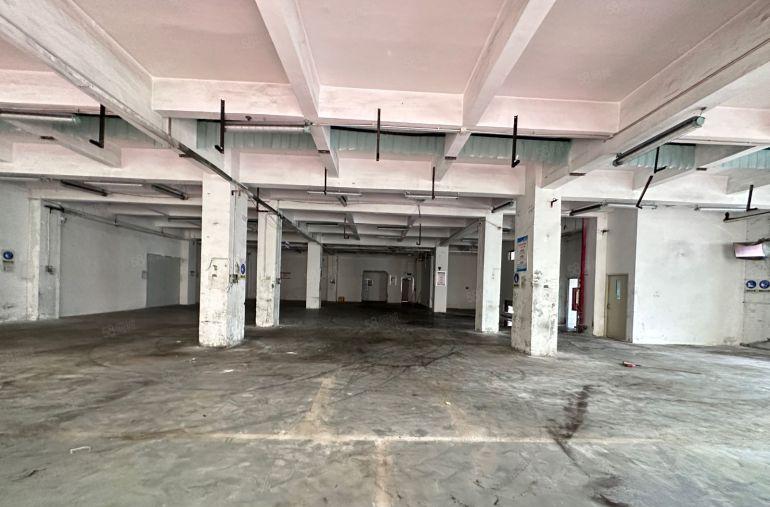 公明上村新出原房东5000平方厂房出租 园区形象好 大小可分