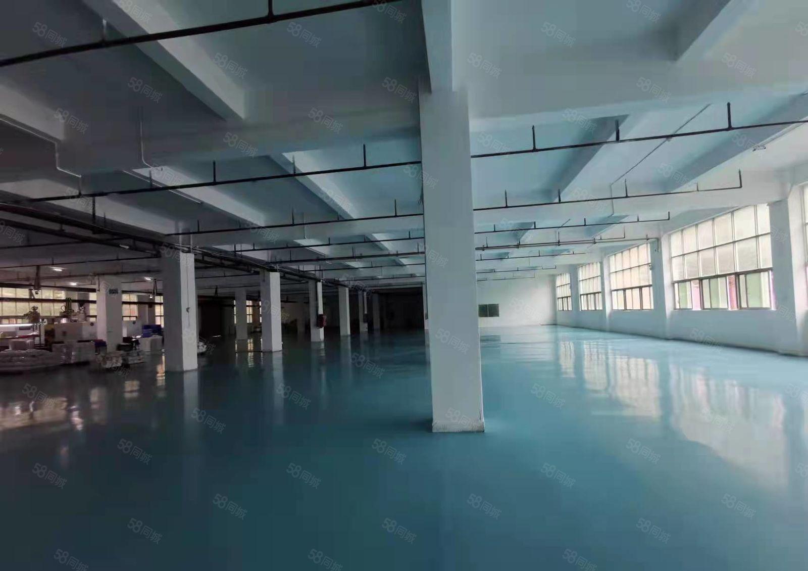 公明厂房出租，1楼880，3600平（带阁楼办公室）电量充足