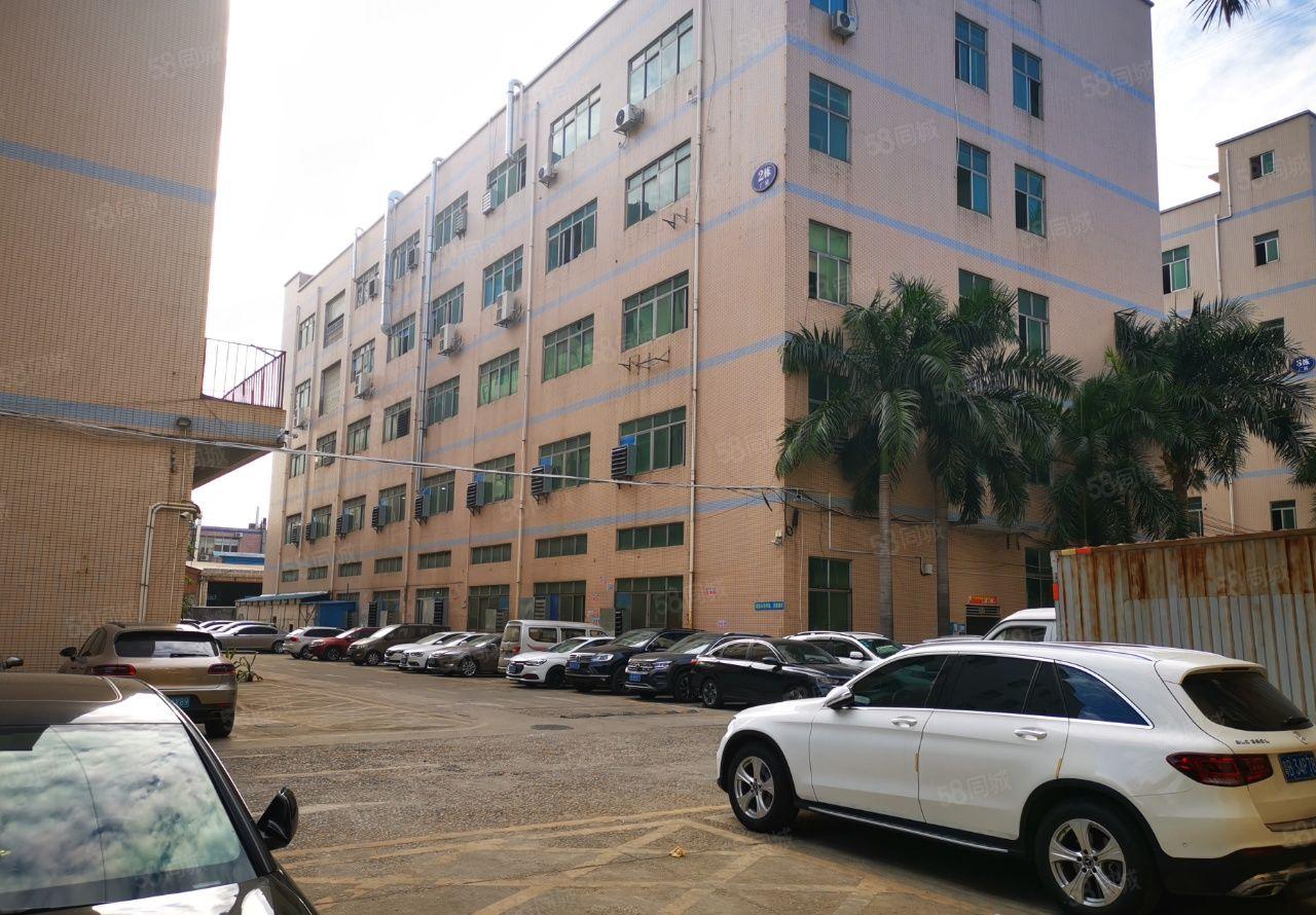 东坑新出一楼标准厂房300平带装修