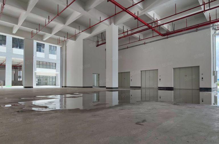 光明原房东实际面积出租90000平厂房出租可分租